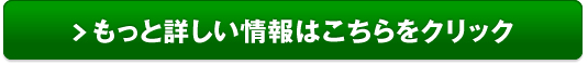 ルピエライン８５％OFFお試し販売サイトへ