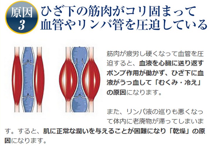 タイトル販売サイトへ